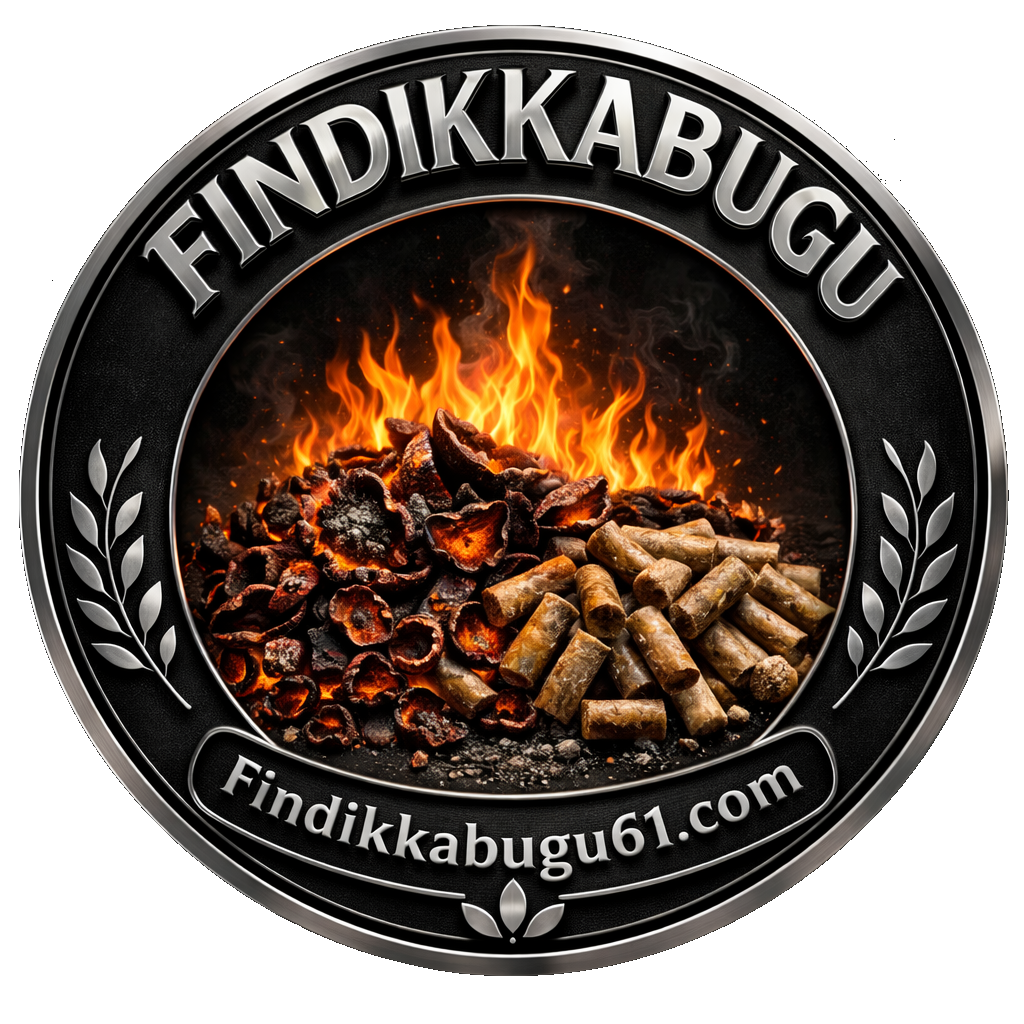 Findikkabugu61 logo
